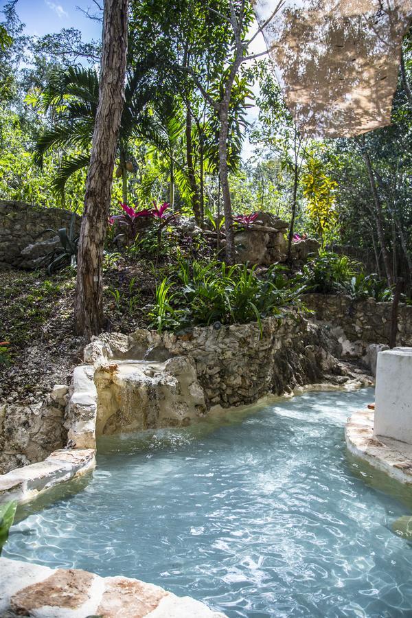 La Selva Mariposa Bed & Breakfast Tulum Luaran gambar