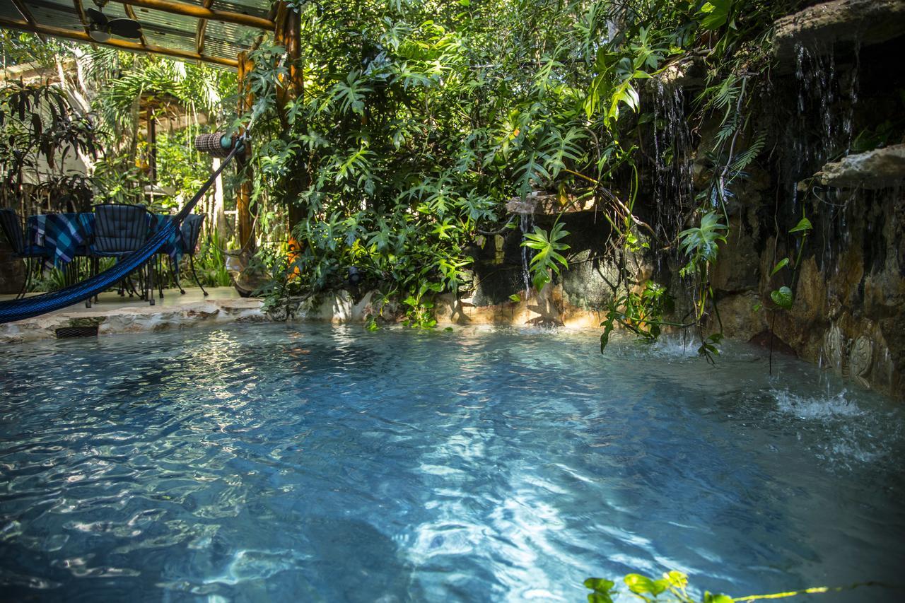 La Selva Mariposa Bed & Breakfast Tulum Luaran gambar